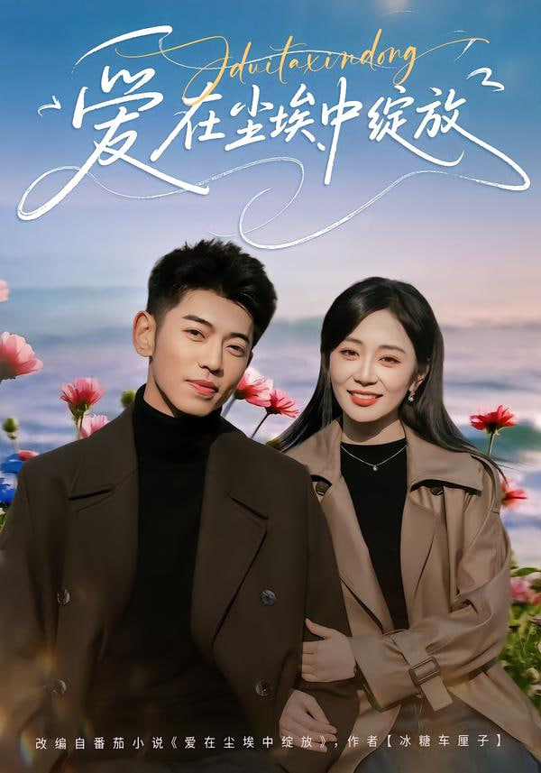 爱在尘埃中绽放封面