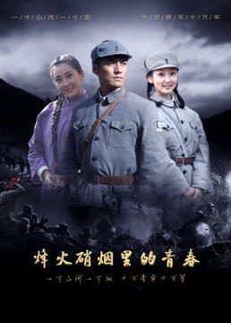 烽火硝烟里的青春封面