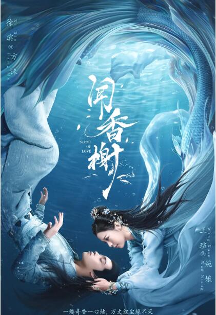 闻香榭封面