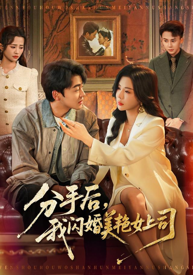 分手后，我闪婚美艳女上司封面