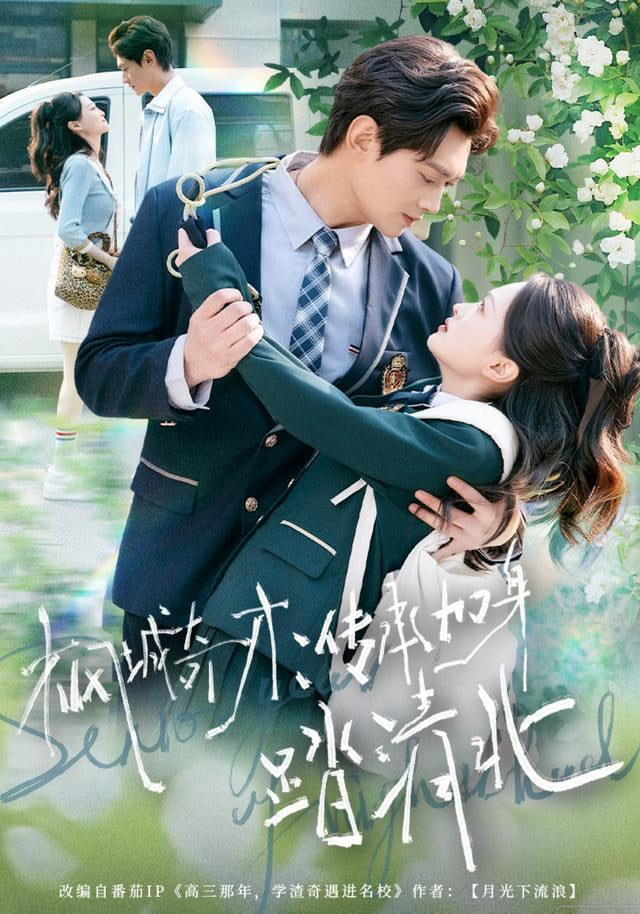 枫城奇才：传承加身踏清北封面