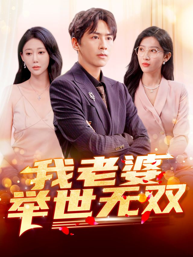 我老婆举世无双封面