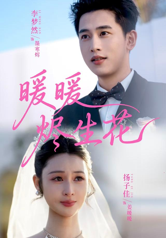 暖暖烬生花封面