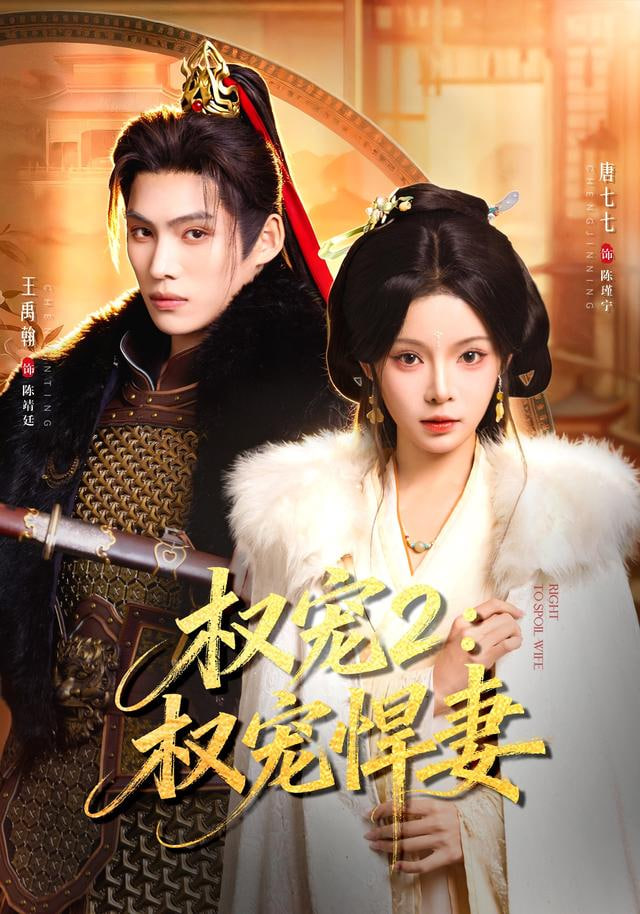 权宠2权宠悍妻封面