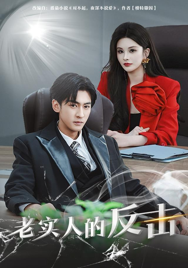 老实人的反击封面