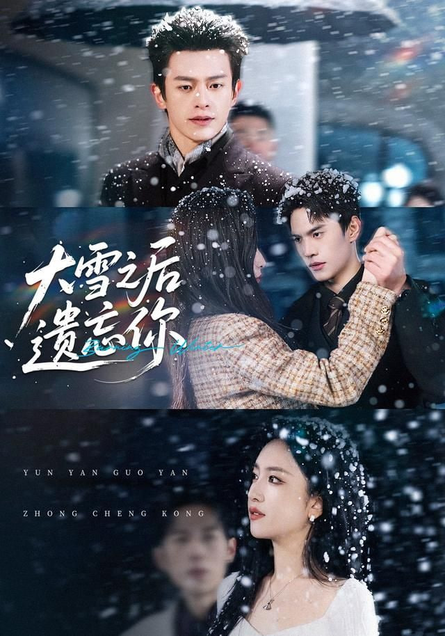 大雪之后遗忘你封面