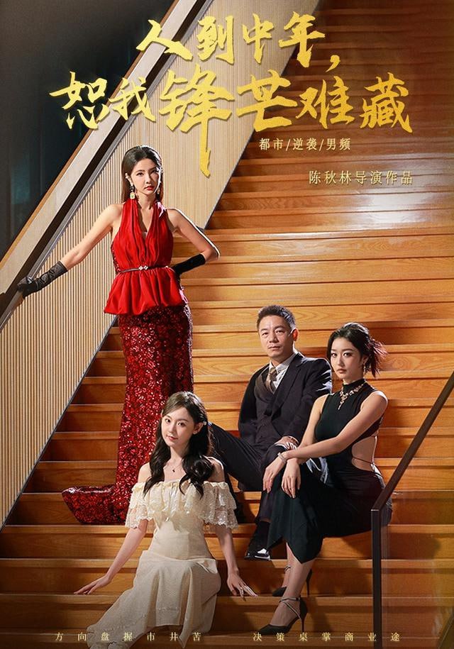 人到中年，恕我锋芒难藏封面