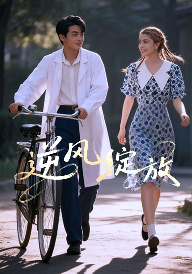 逆风绽放封面