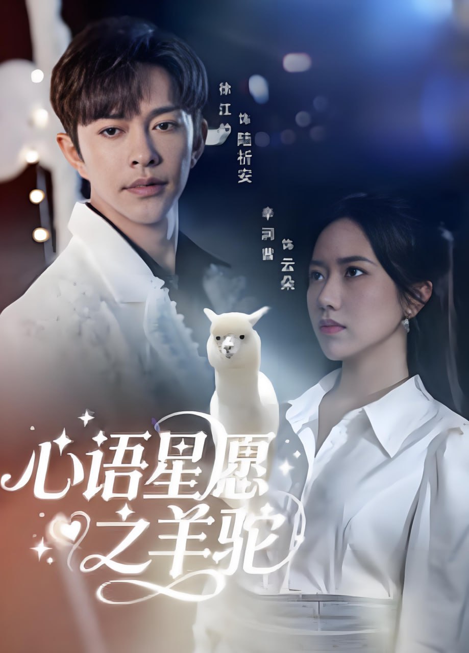 心语星愿之羊驼封面