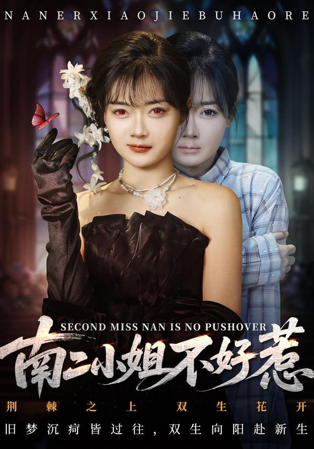 南二小姐不好惹封面