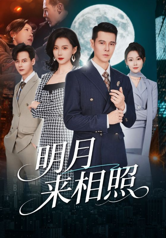 明月来相照（裂痕之上的新生）封面