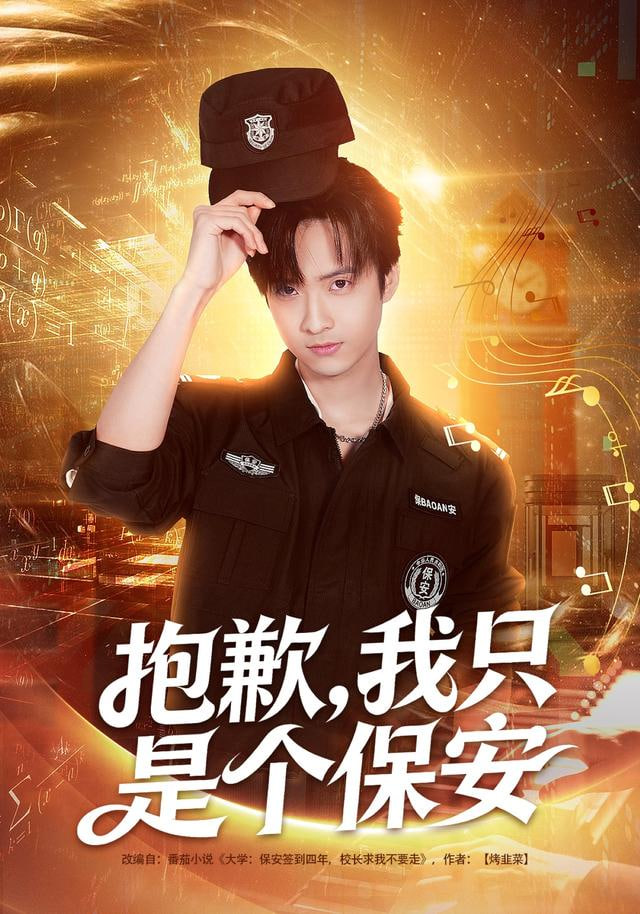 抱歉，我只是个保安封面