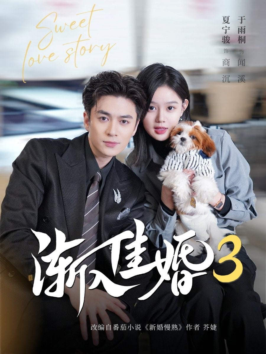 渐入佳婚3第三部封面