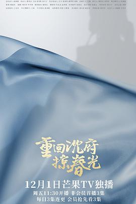 重回沈府掠春光封面