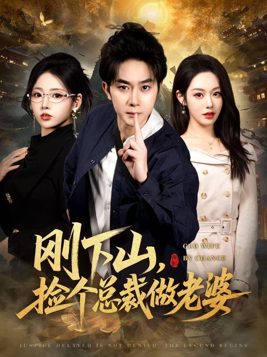 刚下山捡个总裁做老婆封面