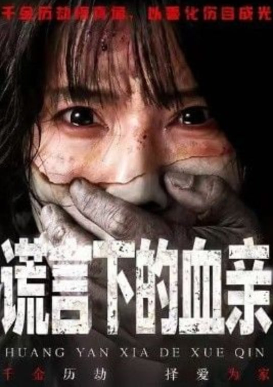 谎言下的血亲封面
