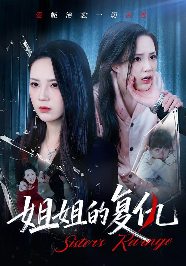 姐姐的复仇封面