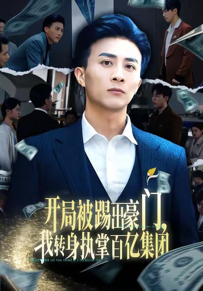 开局被踢出豪门，我转身执掌百亿集团封面