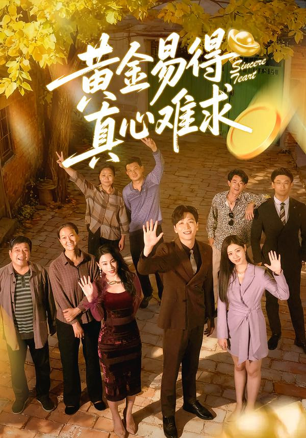 黄金易得真心难求封面