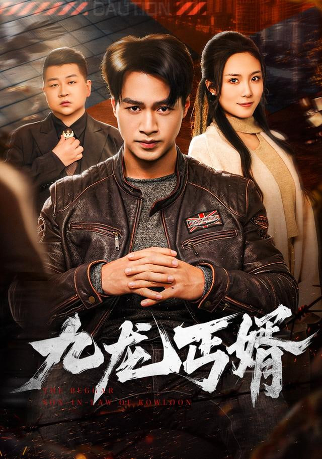 九龙丐婿封面