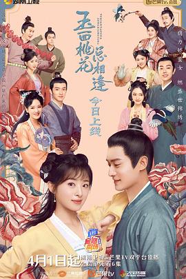 玉面桃花总相逢（卫视版）封面