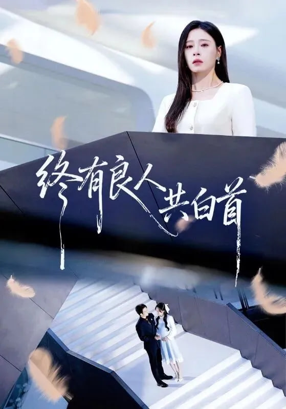终有良人共白首封面