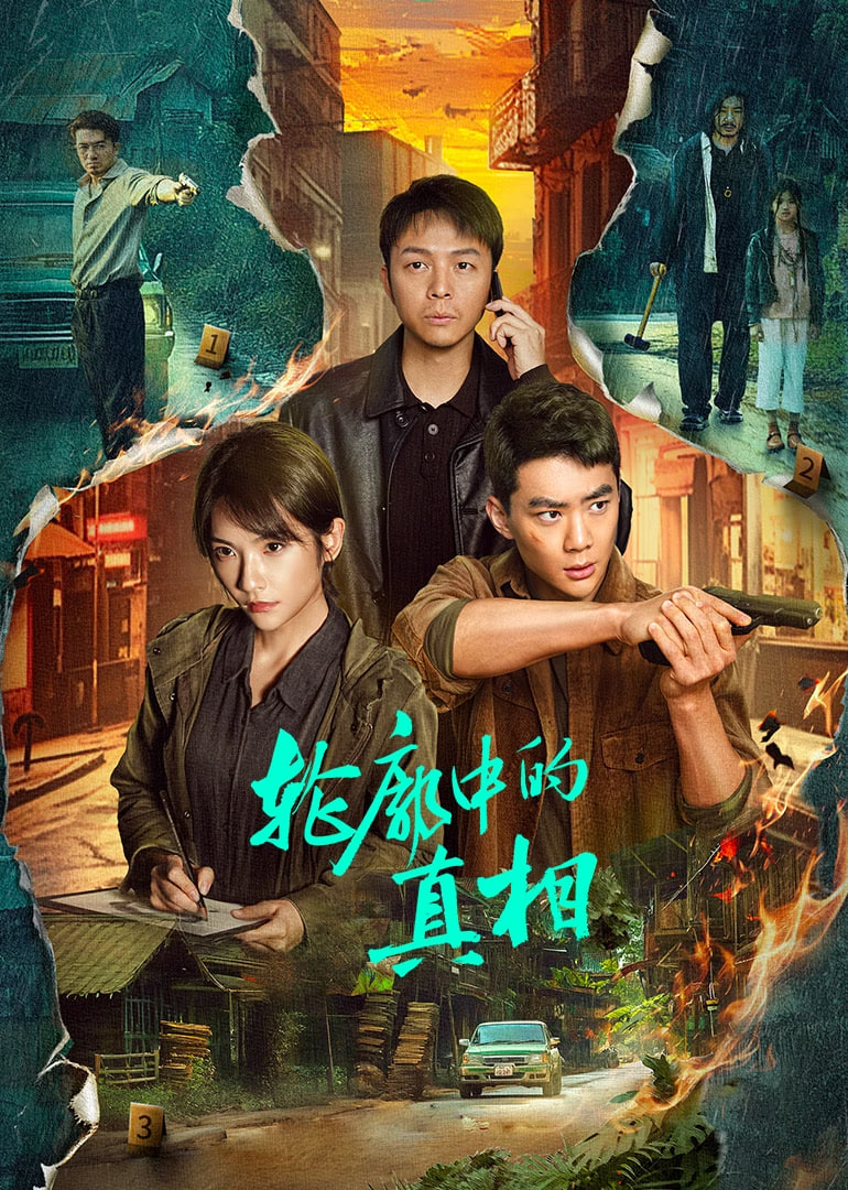 轮廓中的真相封面