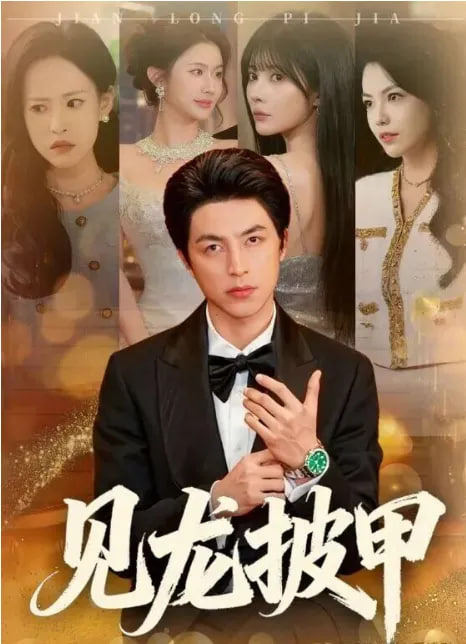 见龙披甲封面