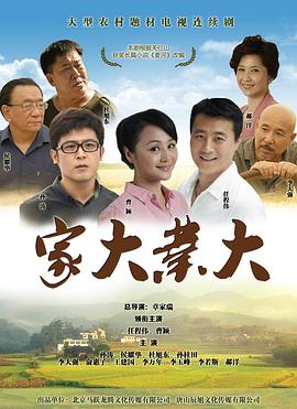 家大业大封面