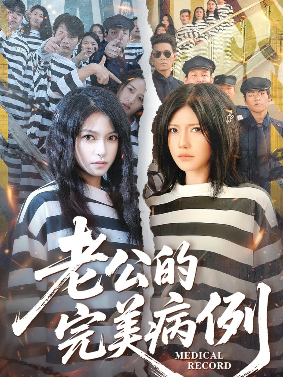 老公的完美病例封面
