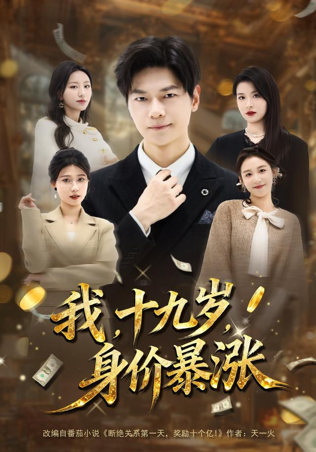 我十九岁身价暴涨封面