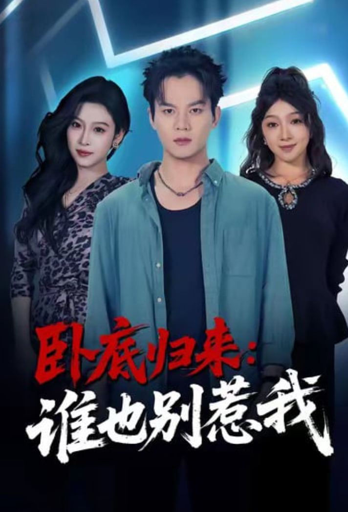 卧底归来谁也别惹我封面