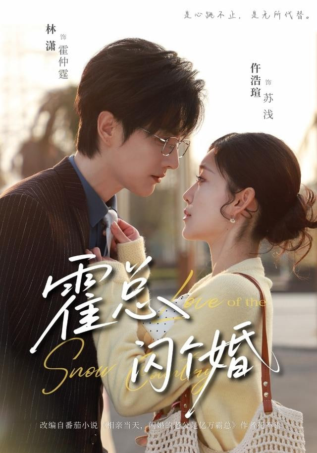 霍总闪个婚封面