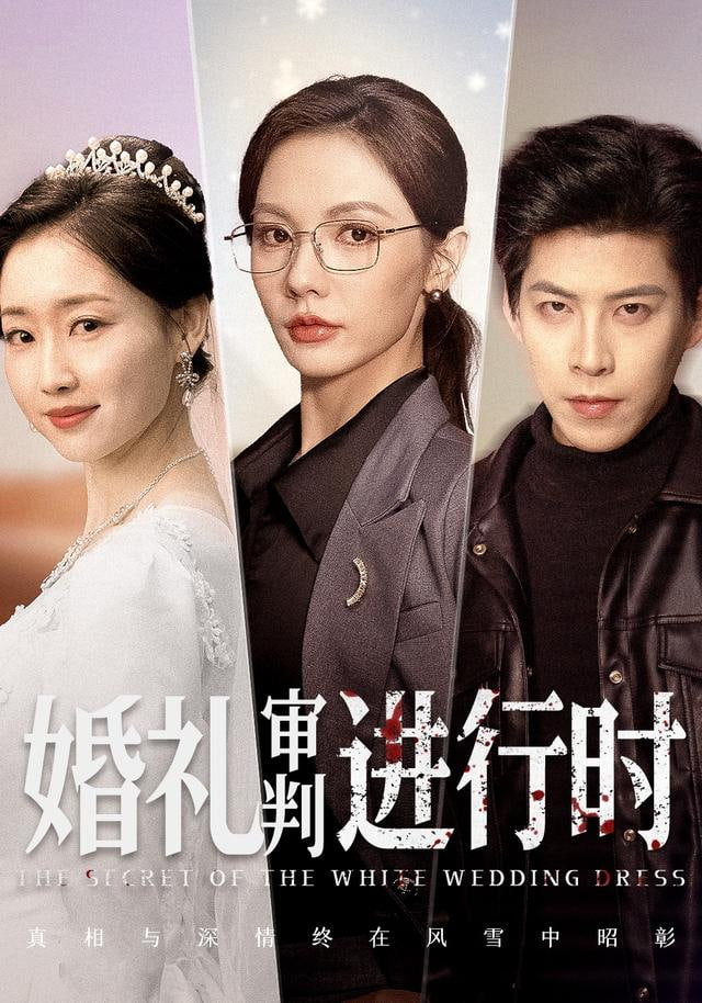 婚礼审判进行时封面