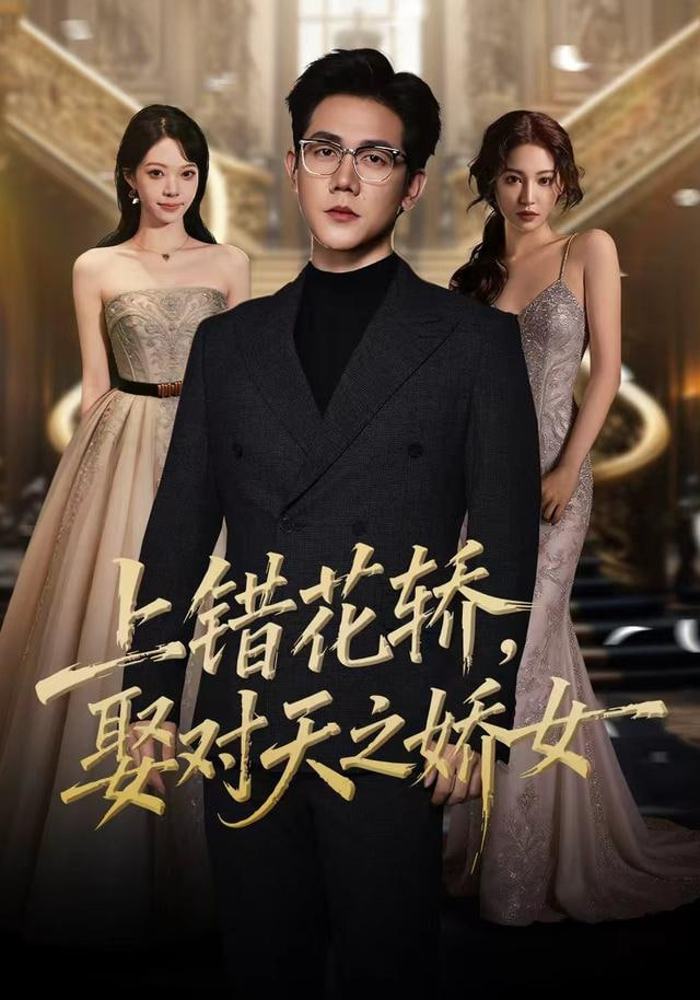 上错花轿，娶对天之娇女封面