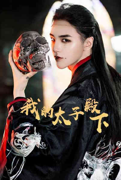 我的太子殿下封面