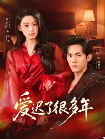 爱迟了很多年封面