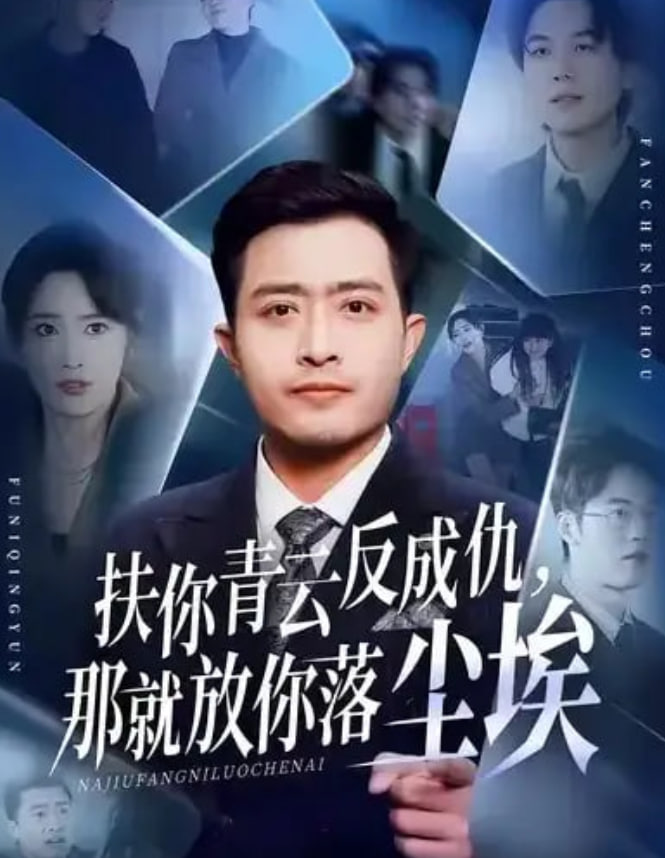 扶你青云反成仇，那就放你落尘埃封面
