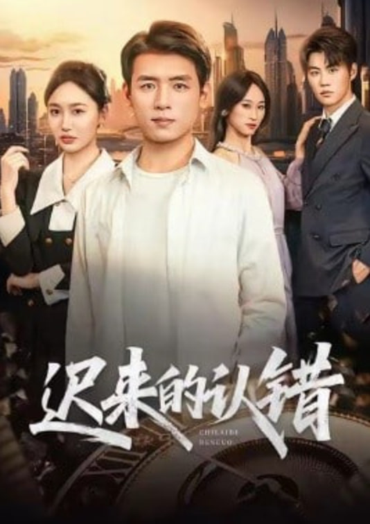 迟来的认错封面