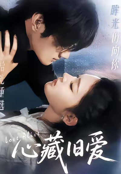 心藏旧爱封面