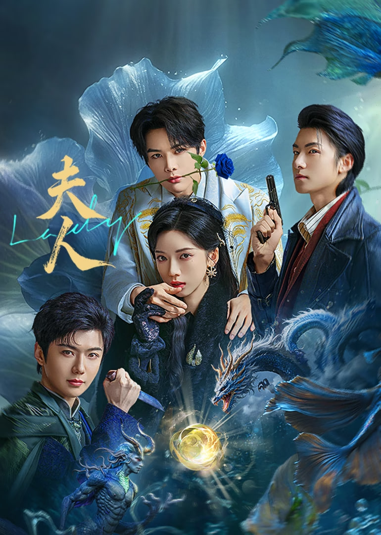 夫人 2025封面