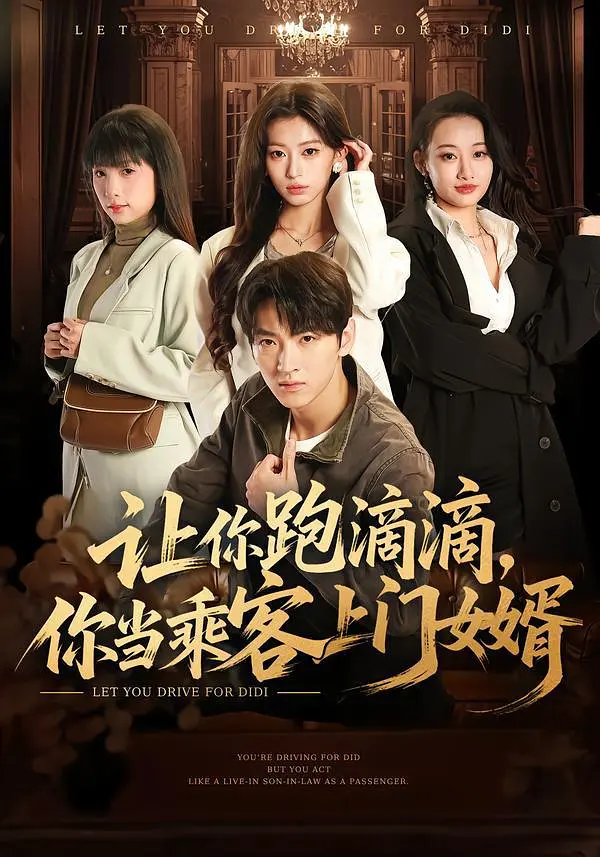 让你跑滴滴，你当乘客上门女婿封面