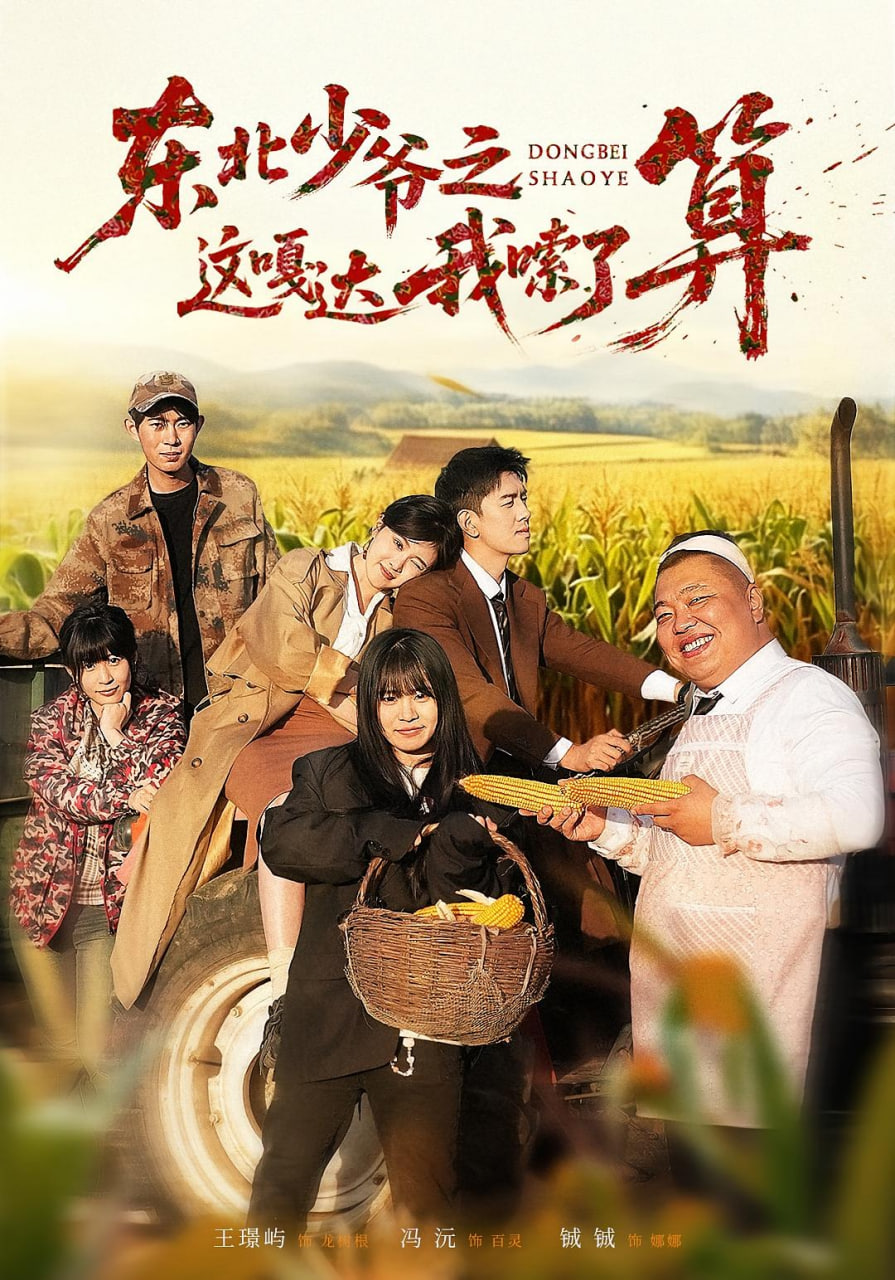 东北少爷之这嘎达我嗦了算封面
