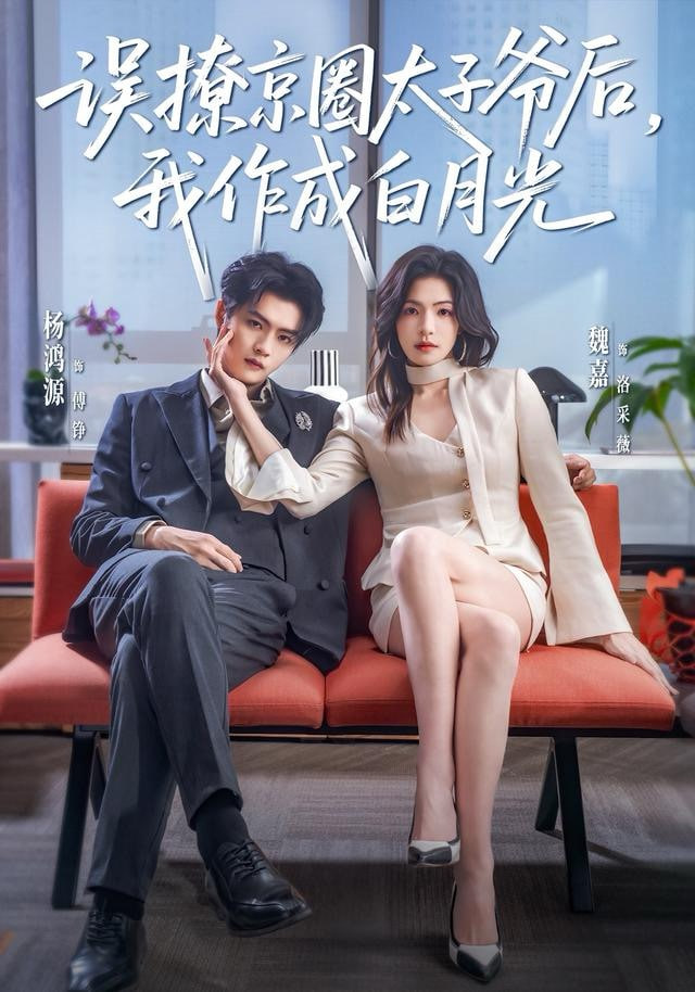 误撩京圈太子爷后，我作成白月光封面