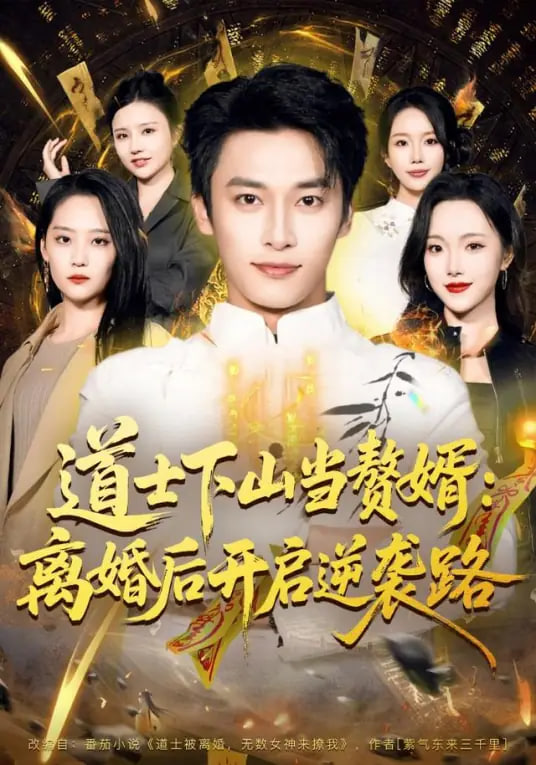 道士下山当赘婿：离婚后开启逆袭路封面