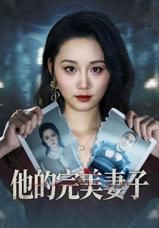 他的完美妻子封面