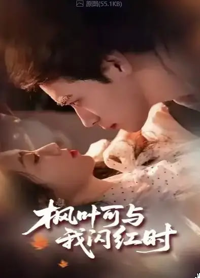 枫叶可与我闪红时封面