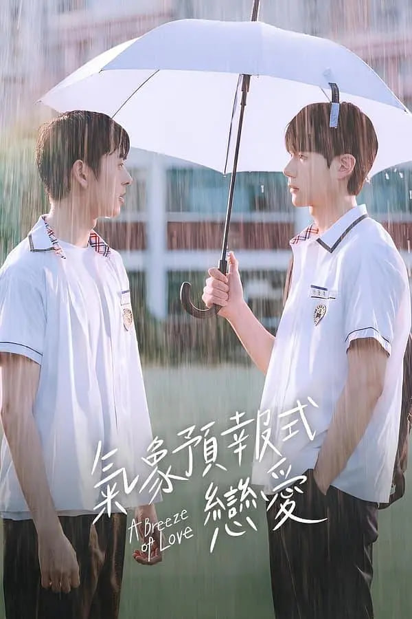 恋爱预感封面