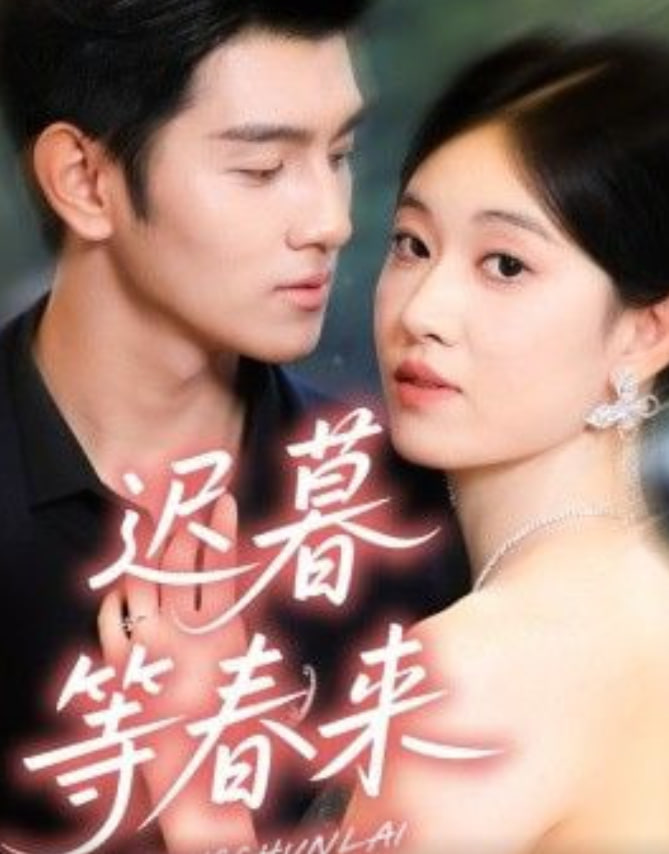 迟暮等春来封面