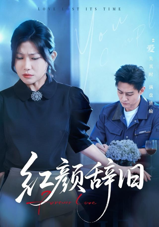 红颜辞旧封面